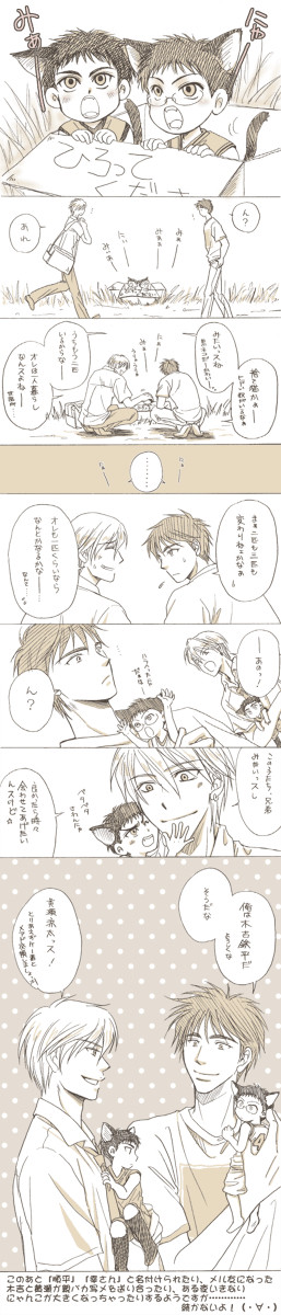 【木日&黄笠】木吉と黄瀬とにゃんこが2匹