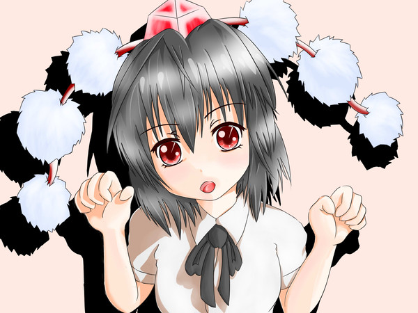 にゃ～命丸