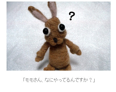 大作家モモ、ノーベル賞をめざす。
