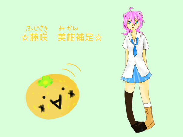【電波くんとエリートさん】藤咲美柑【補足】