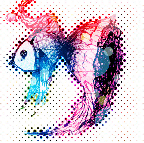 金魚
