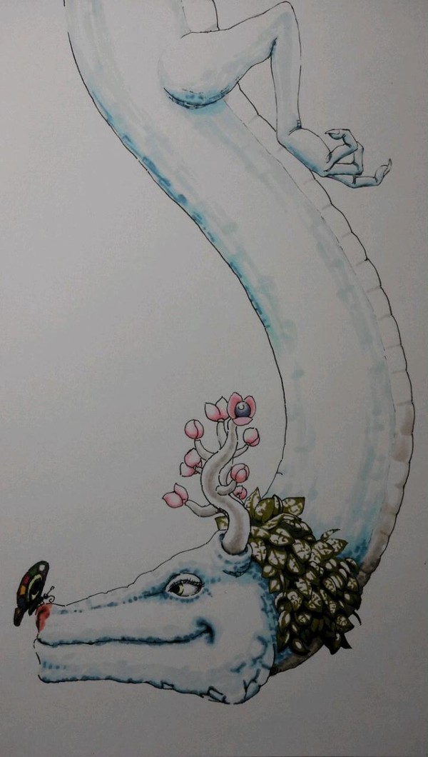 蝶と竜