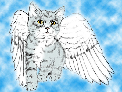 猫