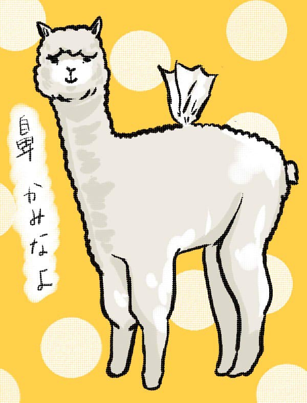 ティッシュどうぞ