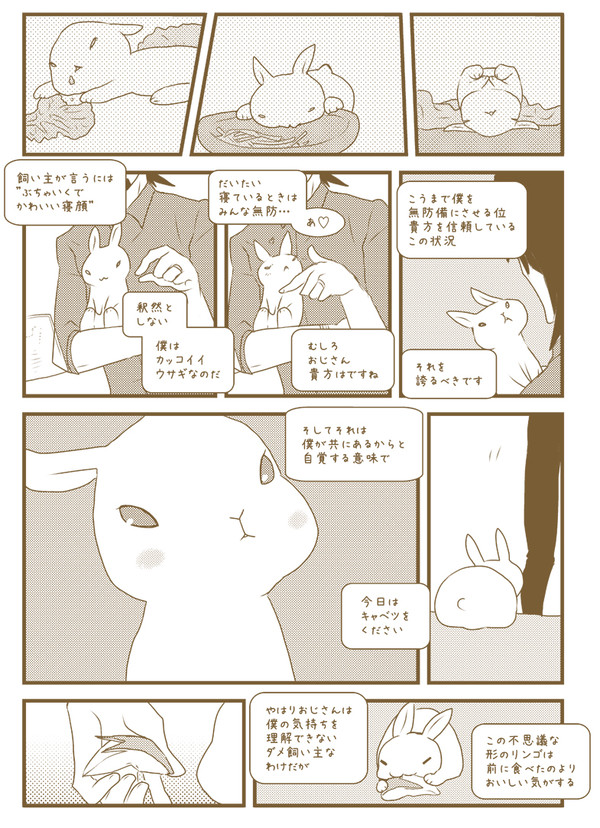 【腐/虎兎】りんご、布製、キャベツ【鏑木バニー】
