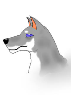犬