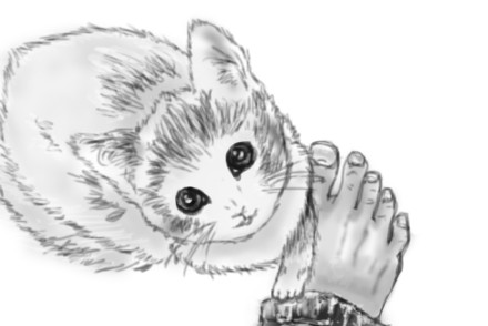 にゃんこ