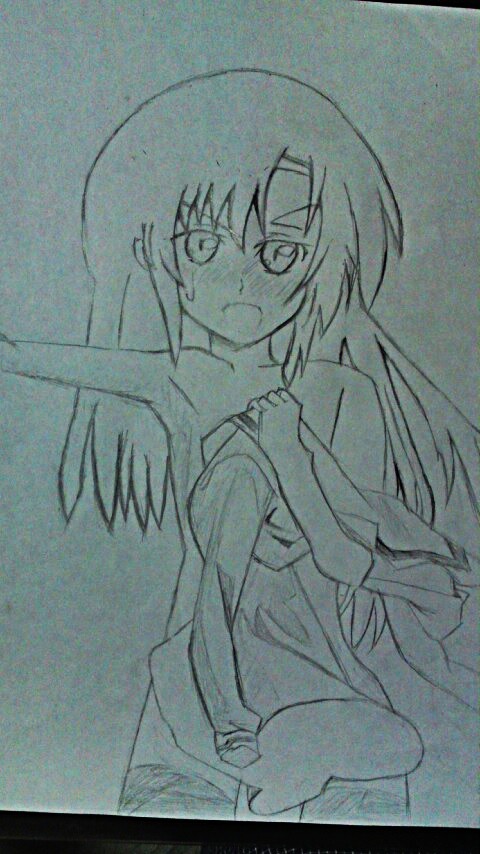桂ヒナギク