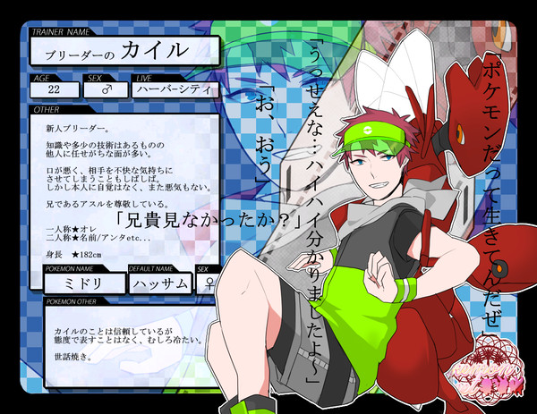 【トレ街】カイル【キャラシ】