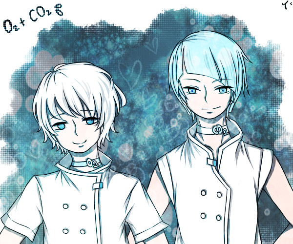 O₂+ CO₂