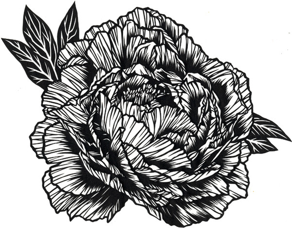 【切り絵】 牡丹