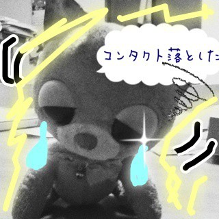 コンタクト落とした
