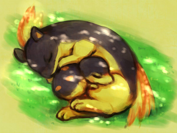 木漏れ日