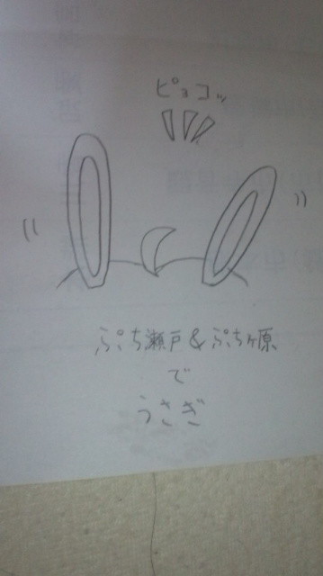 うさぎ￣(=∵=)￣