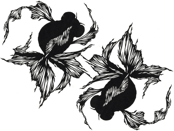 【切り絵】 黒出目金 (試作)