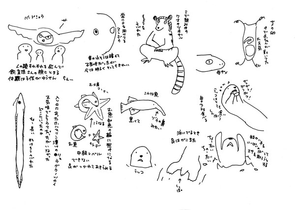 サンシャイン２