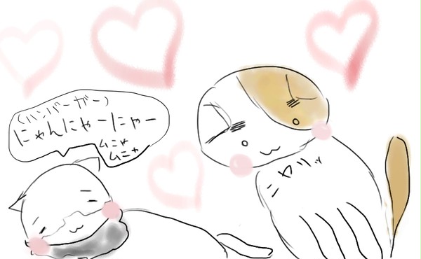 【腐APH?】いぎにゃんとにゃるふれっど