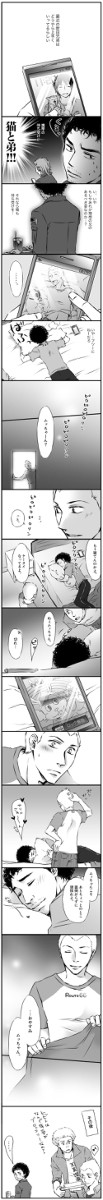 南波兄弟