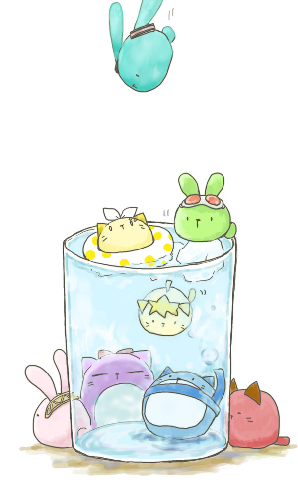 ねこだま屋の夏