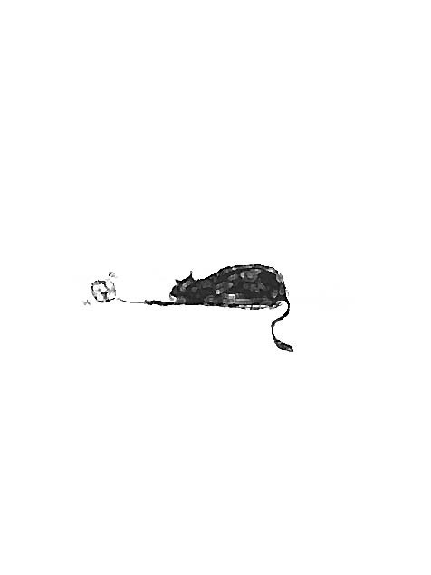 ぼたもち？いいえ猫です。