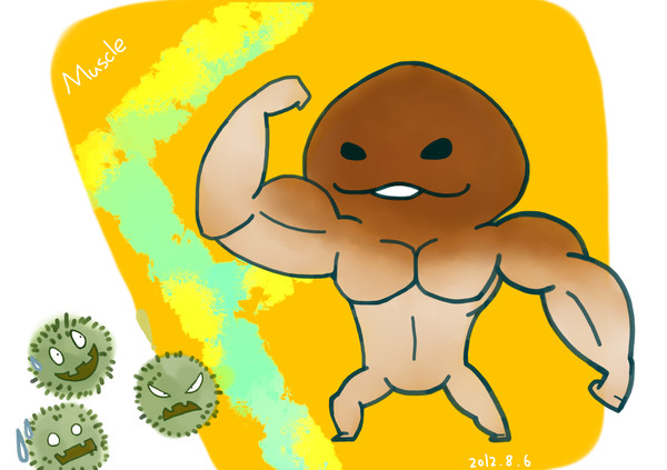 Muscle菇