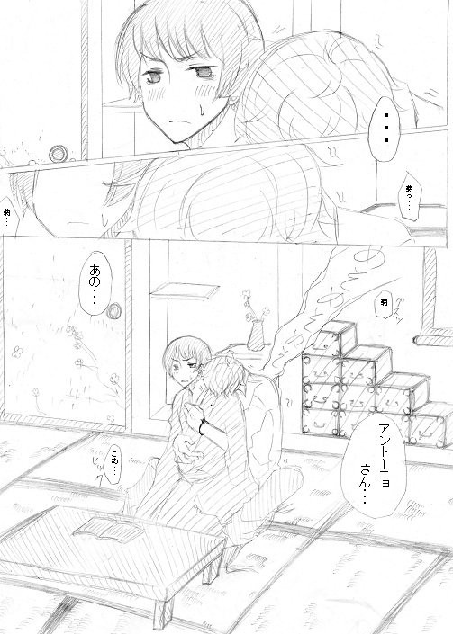 トニョ菊。