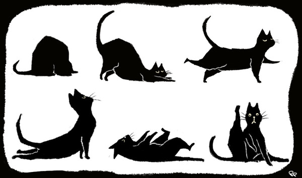 猫のヨガ