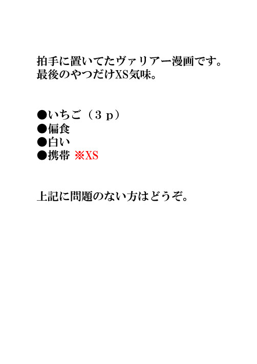 【ヴァリアー・XS】詰め合わせ