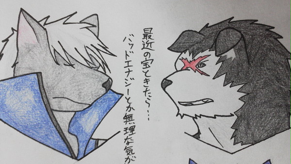 最近の呟き