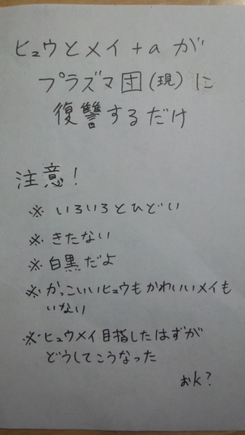 ヒュウとメイがプラズマ団に復讐するよ！