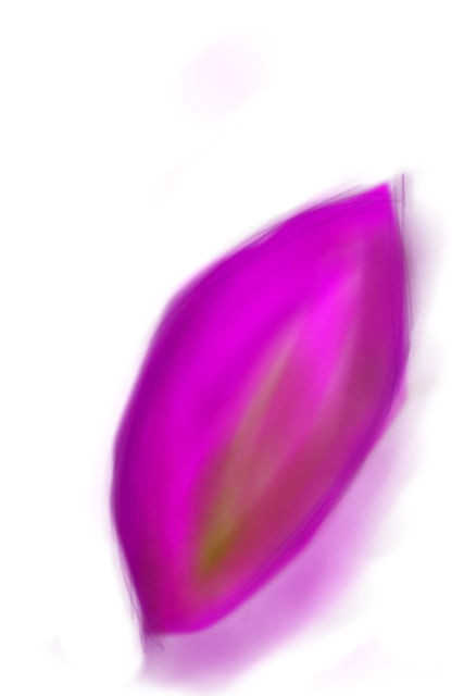 『芋』