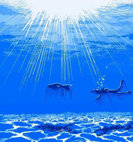海中水泳with魚