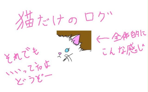 猫しかいないです