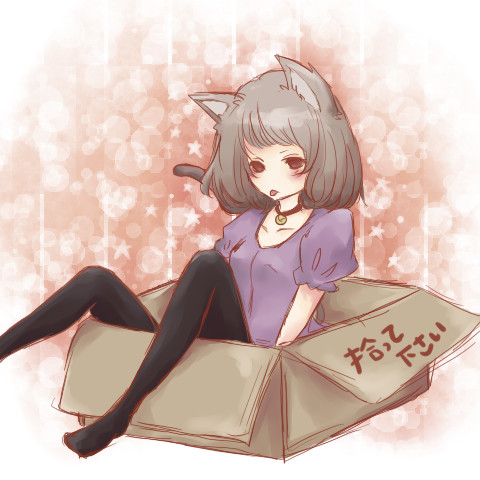 ひろってください。
