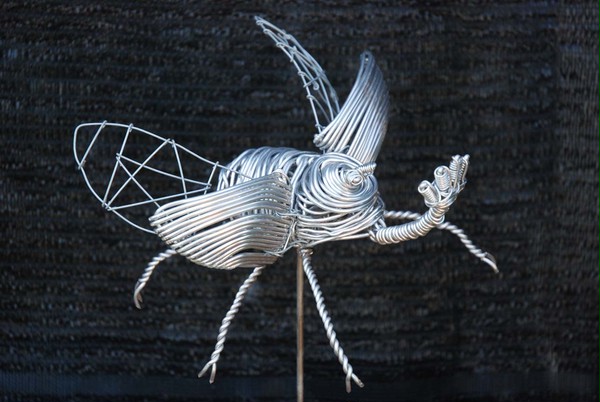 カブトムシ
