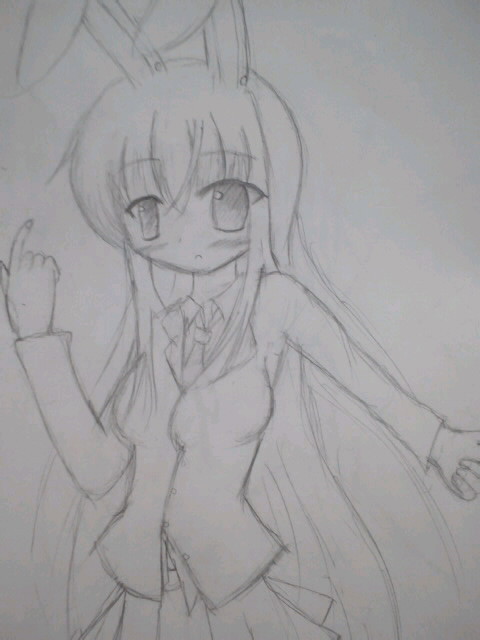 どんげ