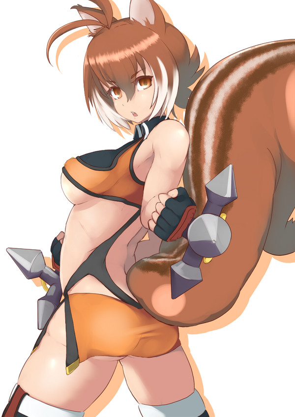 マコ