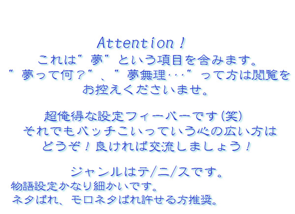 【夢主注意】夢主設定【やたら細かい】
