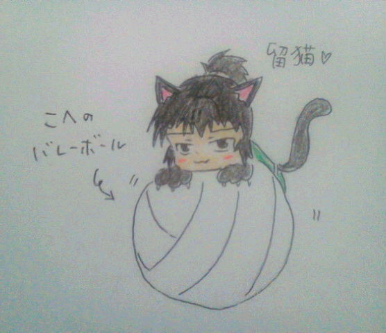 留猫