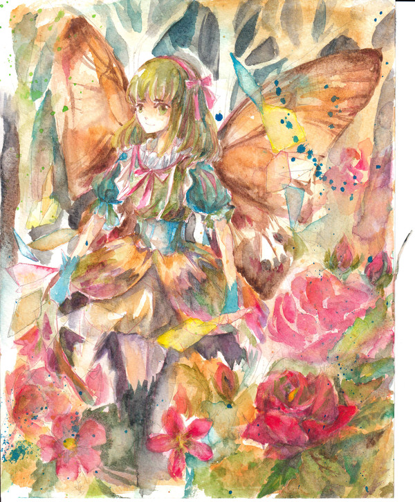 蝶