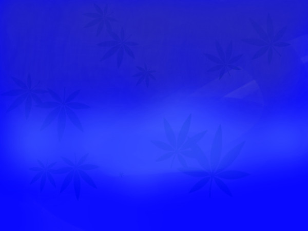 素材