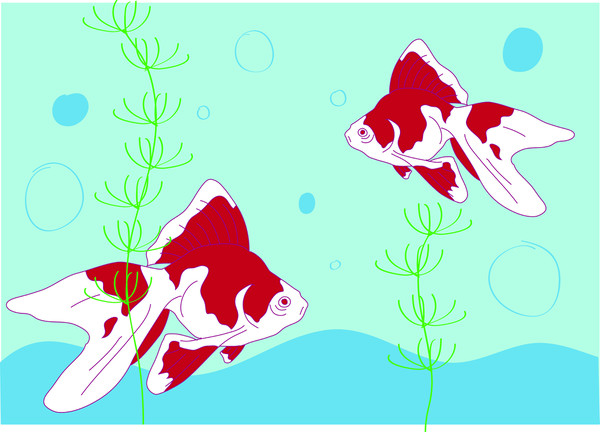 金魚