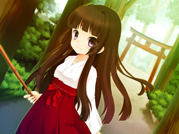 みこさん
