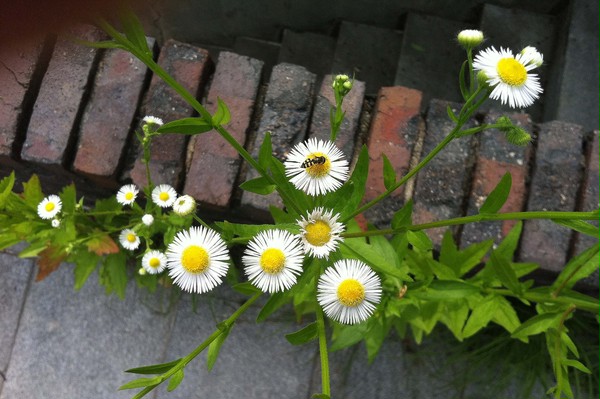 【写真素材】　自然は良い