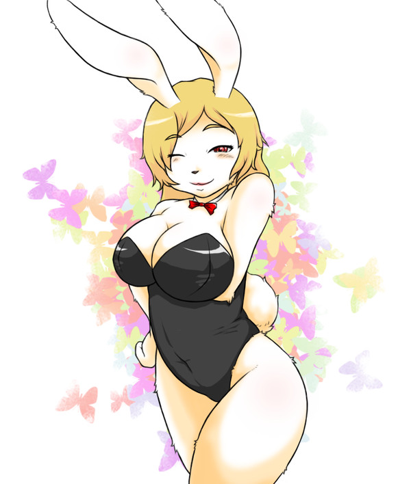 バニーの日…だった…