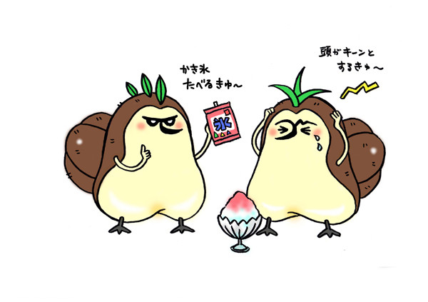 キュイ族と夏の味覚3