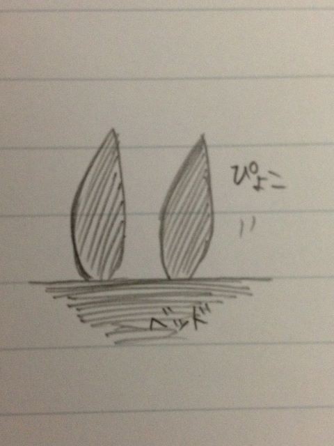 アナログ詰め合わせ