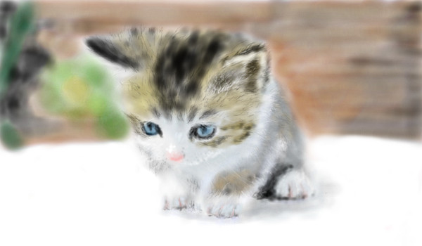 ねこ模写