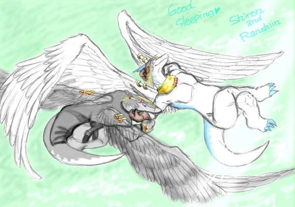 shiron/ranshiin01