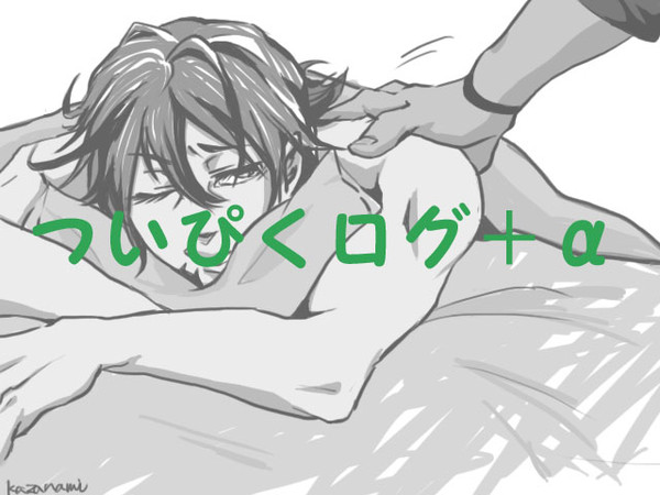 ついぴくログ１